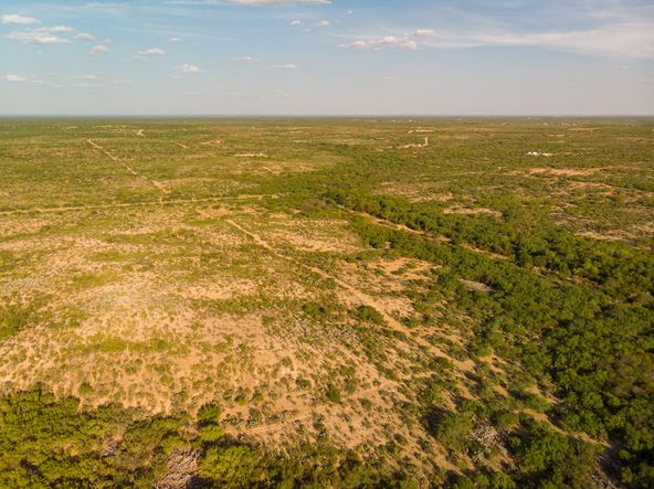 CIELITO LINDO BLVD PRIME DEVELOPMENT: CIELITO LINDO BLVD, Laredo, TX 78046